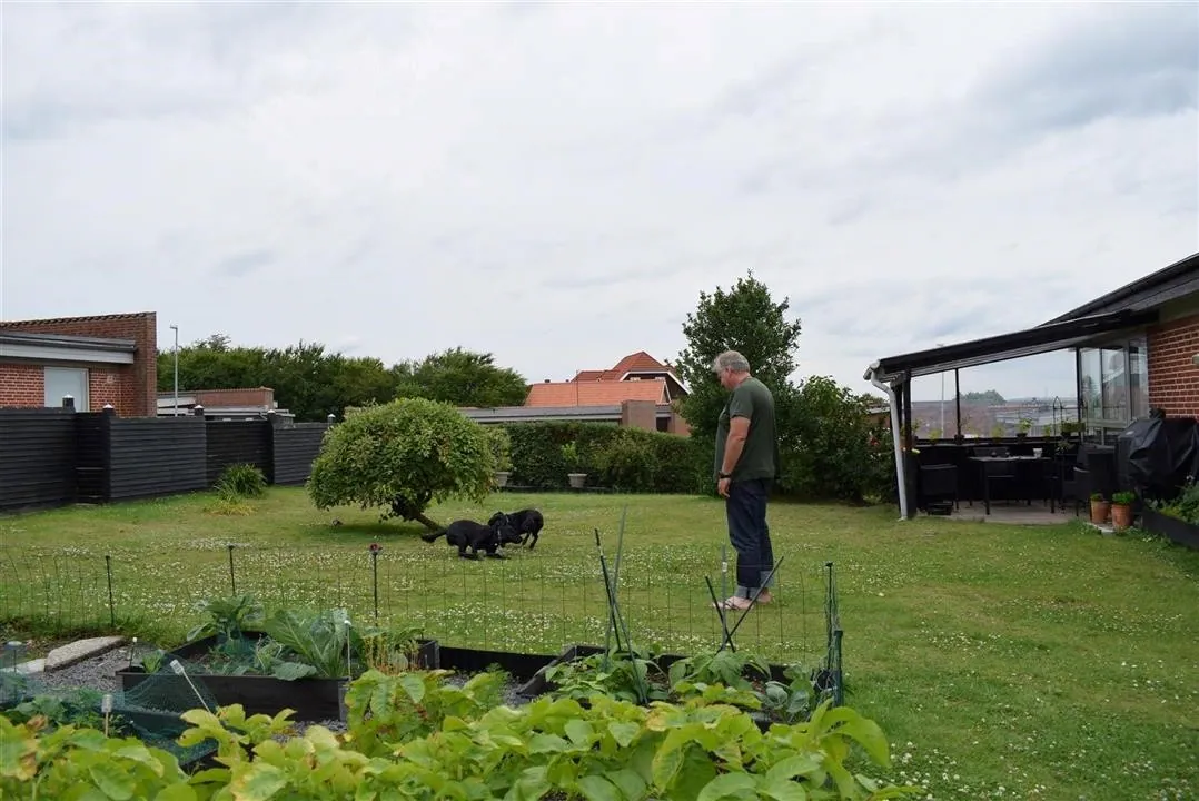 Assens and the North of Denmark 2017